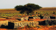 vente de blocs de pierres brut fossilifères