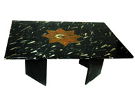 TABLE FOSSILE